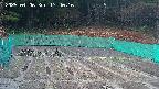 kannonmori-20250406174018.jpg