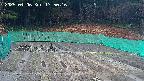 kannonmori-20250406175018.jpg
