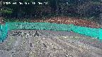 kannonmori-20250406180020.jpg
