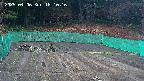kannonmori-20250406181017.jpg