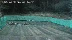 kannonmori-20250407050019.jpg