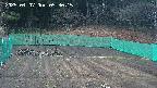 kannonmori-20250407053016.jpg