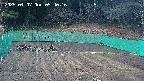 kannonmori-20250407054018.jpg