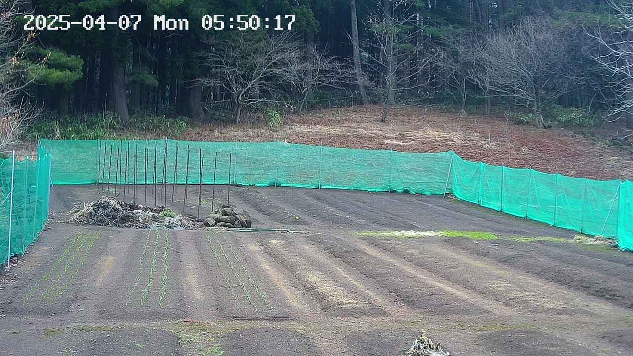 kannonmori-20250407055018.jpg