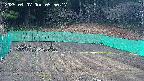 kannonmori-20250407055018.jpg