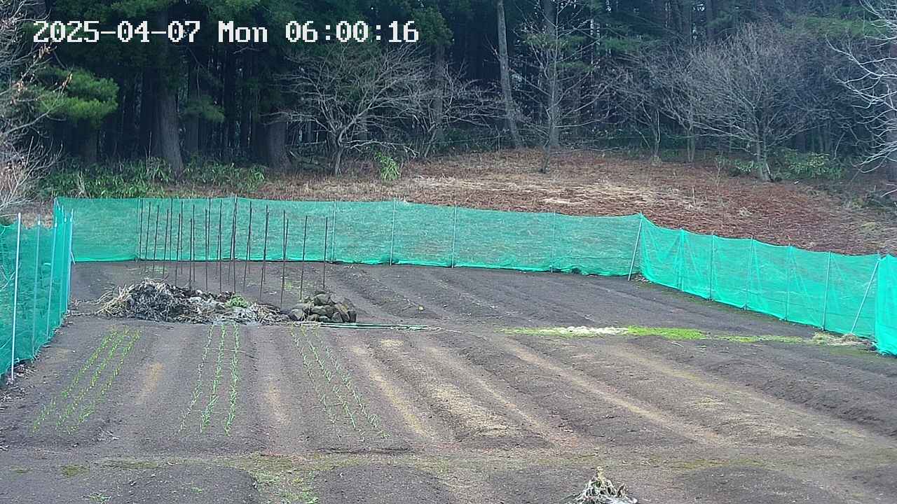 kannonmori-20250407060018.jpg
