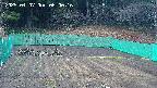 kannonmori-20250407060018.jpg