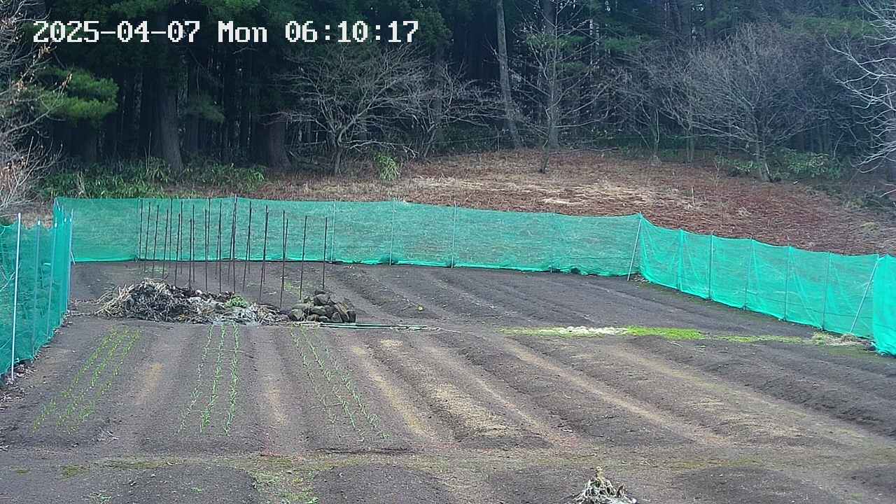 kannonmori-20250407061018.jpg