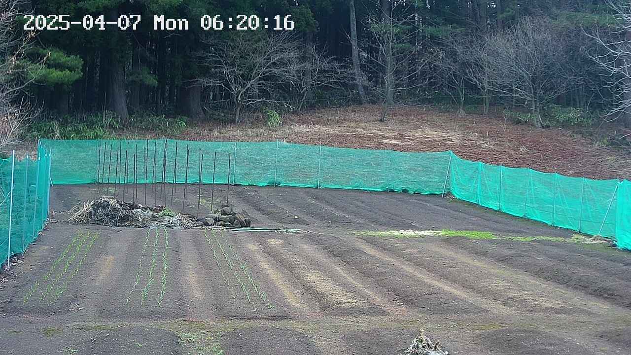 kannonmori-20250407062017.jpg