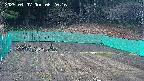 kannonmori-20250407062017.jpg