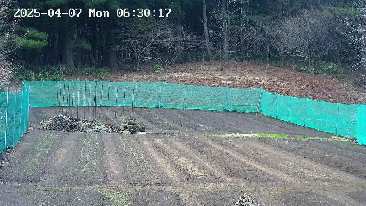 kannonmori-20250407063019.jpg