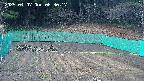 kannonmori-20250407063019.jpg
