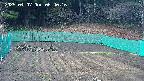 kannonmori-20250407064018.jpg