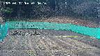 kannonmori-20250407070017.jpg