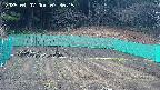 kannonmori-20250407073017.jpg