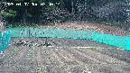 kannonmori-20250407074015.jpg