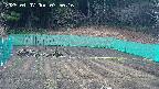 kannonmori-20250407075017.jpg
