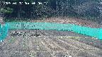kannonmori-20250407080019.jpg