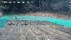 kannonmori-20250407082017.jpg