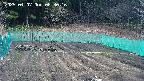 kannonmori-20250407083017.jpg