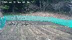 kannonmori-20250407090018.jpg