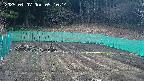kannonmori-20250407091015.jpg