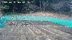 kannonmori-20250407092016.jpg