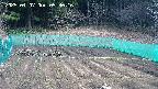 kannonmori-20250407093018.jpg
