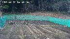 kannonmori-20250407094015.jpg