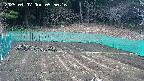 kannonmori-20250407095018.jpg