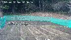 kannonmori-20250407100018.jpg