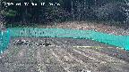 kannonmori-20250407102018.jpg