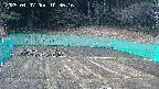 kannonmori-20250407103017.jpg