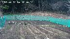 kannonmori-20250407105018.jpg