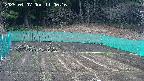 kannonmori-20250407110018.jpg