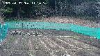 kannonmori-20250407111017.jpg