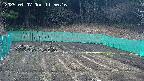 kannonmori-20250407115018.jpg