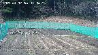 kannonmori-20250407120017.jpg