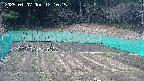 kannonmori-20250407121016.jpg