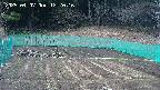 kannonmori-20250407122017.jpg