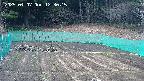 kannonmori-20250407123017.jpg