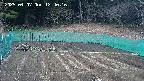 kannonmori-20250407124017.jpg