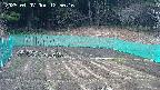 kannonmori-20250407125017.jpg