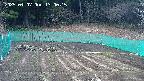 kannonmori-20250407130016.jpg