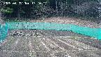 kannonmori-20250407132018.jpg