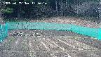 kannonmori-20250407133018.jpg