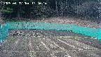 kannonmori-20250407134018.jpg
