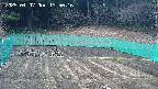 kannonmori-20250407135017.jpg
