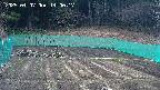 kannonmori-20250407140018.jpg