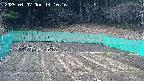 kannonmori-20250407141017.jpg